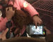 850nm তরঙ্গদৈর্ঘ্য ইনফ্রারেড শিরা অনুসন্ধানকারী শিরা প্রদর্শক সংস্করণ উপকরণ শিশুদের প্রাপ্তবয়স্কদের জন্য উপযুক্ত