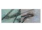 4 ধরণের ত্বকের স্থিতির রিপোর্ট সহ স্কিন টেস্টিং ডিভাইস ভিডিও ডার্মাটোস্কোপ মোবাইলফোনে সংযুক্ত ওয়াইফাই