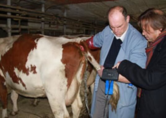 ডিজিটাল ভেটেরিনারি আল্ট্রাসাউন্ড স্ক্যানার